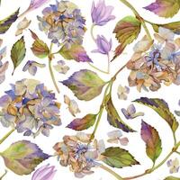 mano disegnato acquerello illustrazione squallido boho botanico fiori le foglie. ortensia hortensia viola secco infiorescenza. senza soluzione di continuità modello isolato su bianca sfondo. design nozze, amore carte vettore