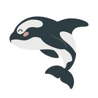 cartone animato mano disegnato uccisore balena su isolato bianca sfondo. personaggio di il polare artico mare animali per il logo, mascotte, design. vettore illustrazione