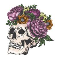 mano disegnato umano cranio e fioritura fiori schizzo Vintage ▾ inciso stile vettore illustrazione isolato su bianca sfondo per maglietta Stampa, carta, adesivi