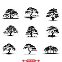 cipresso albero silhouette impostato rustico grafica per naturale temi vettore