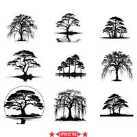 incantevole cipresso albero silhouette imballare natura ispirato vettore grafica