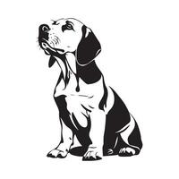 beagle cane vettore illustrazione vettore immagini