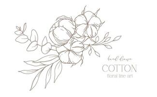 mano disegnato cotone fiori linea arte illustrazione. cotone palle isolato su bianca. floreale linea arte. cotone pianta nero e bianca illustrazione. bene linea cotone illustrazione. vettore