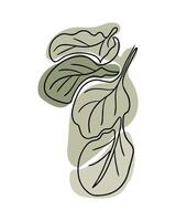 abbozzato disegno di spinaci le foglie nel boho stile. botanico singolo linea Vintage ▾ disegno di verdura. contorno linea schema composizione isolato su bianca sfondo. vettore