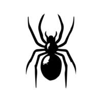 arte Pericolo ragno nero bianca tatuaggio elemento vettore modello animale