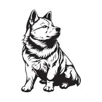 akita vettore immagini , illustrazione di un' akita cane