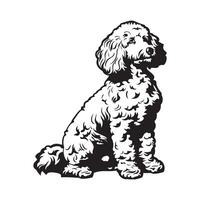 barboncino cane vettore arte, icone, e grafica