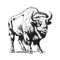 bisonte vettore immagini, illustrazione un' bisonte