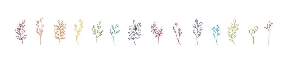 selvaggio fiori vettore collezione. erbe aromatiche, erbaceo fioritura impianti, fioritura fiori, arbusti isolato su bianca sfondo. mano disegnato dettagliato botanico vettore illustrazione.