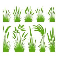 vettore erba verde naturale, biologico, bio, etichetta ecologica e forma su sfondo bianco.