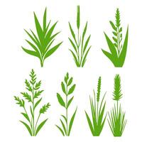 vettore erba verde naturale, biologico, bio, etichetta ecologica e forma su sfondo bianco.