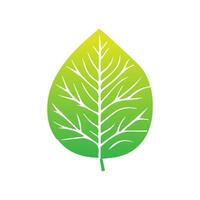 verde foglia icona. le foglie icona su isolato sfondo. collezione verde foglia. elementi design per naturale, eco, vegano, bio etichette. vettore illustrazione