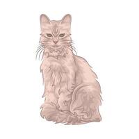illustrazione di seduta gatto vettore