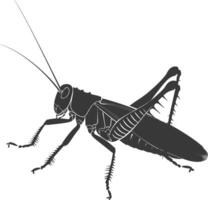 ai generato silhouette cricket insetto animale nero colore solo vettore