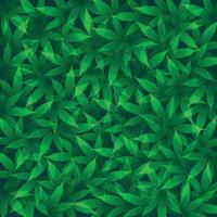 verde marijuana foglia vettore vettore marijuana foglia sfondo Immagine marijuana foglia illustrazione