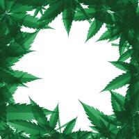 verde marijuana foglia vettore vettore marijuana foglia sfondo Immagine marijuana foglia illustrazione