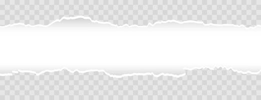 vettore illustrazione di il squadrato strappato carta per scrittura messaggi su grigio astratto sfondo. eps10.