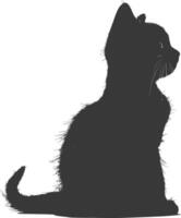 ai generato silhouette gattino carino animale nero colore solo pieno corpo vettore