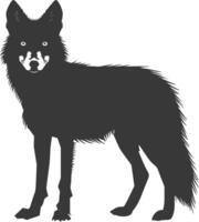 ai generato silhouette coyote animale nero colore solo pieno corpo vettore