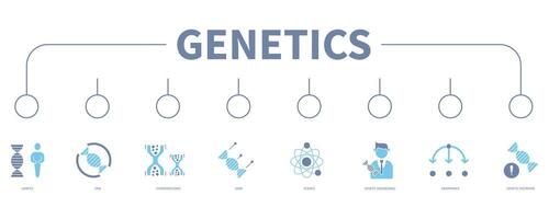 genetica bandiera ragnatela icona vettore illustrazione concetto