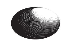 vettore illustrazione di nero struttura su bianca sfondo vettore Immagine per sfondo struttura. eps 10