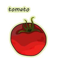 pomodoro è un' verdura. pomodoro etichetta, mano disegnato, vettore illustrazione nel scarabocchio stile