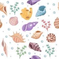 mare conchiglie vettore senza soluzione di continuità modello, molluschi. piatto illustrazione di conchiglia.