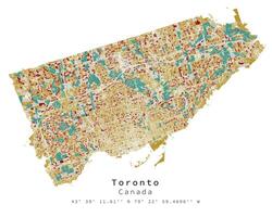 toronto Canada,urbano dettaglio colore strade strade carta geografica ,vettore elemento modello Immagine vettore