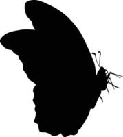 farfalla silhouette illustrazione. nero colorato animale natura mano disegnato nel vettore formato