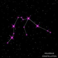 zodiaco segni. il costellazione di Acquario nel il nero stellato cielo. vettore illustrazione.