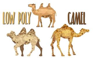 selezione di modelli low poly di cammelli vettore