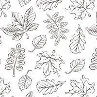 modello con molla, autunno le foglie nel linea arte stile. grande per sfondi, carte, involucro carta, arredamento. vettore illustrazione su un' bianca sfondo.
