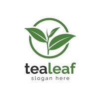 tè foglia logo design. tè albero vettore logo design