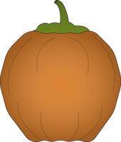 arancia zucca, un' pianta di il zucca famiglia, autunno vettore