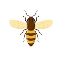 ape icona isolato su bianca sfondo. miele volante ape. insetto. vettore illustrazione.