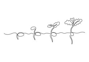 continuo singolo linea disegno di pianta crescita processi. vettore illustrazione