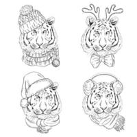 una serie di ritratti disegnati a mano di una tigre in maglia, cappelli natalizi e sciarpe. illustrazione vettoriale d'epoca. illustrazione di natale e capodanno.