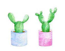 set acquerello di simpatici cactus in vasi decorati a righe. piante d'appartamento disegnate a mano vettore