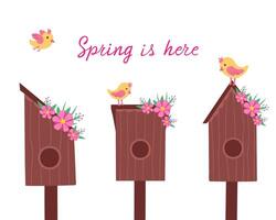 birdhouse con poco uccelli impostare, primavera è qui. illustrazione per stampa, sfondi, coperture e confezione. Immagine può essere Usato per carte, manifesti e adesivi. isolato su bianca sfondo. vettore