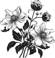 nature sinfonia elegante vettore logo design con nero florals botanico bellezza monocromatico emblema con elegante floreale design