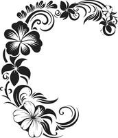 botanico frontiere monocromatico vettore logo evidenziazione decorativo angoli floreale fantasia elegante nero icona con decorativo angoli