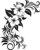 opulento orchidee elegante nero emblema evidenziazione decorativo floreale design fiorire bellezza elegante logo con decorativo angoli nel monocromatico vettore