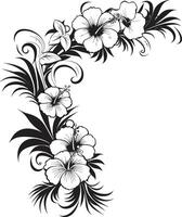 floreale affresco elegante nero logo design con decorativo angoli elegante viti monocromatico vettore emblema con decorativo floreale angoli