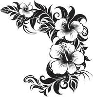 petali di prestigio monocromatico emblema evidenziazione decorativo angoli opulento orchidee elegante icona con decorativo angoli nel nero vettore