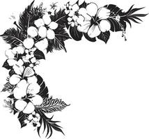 incantevole viti nero vettore emblema con decorativo floreale angoli floreale finezza elegante logo design con decorativo angoli nel nero