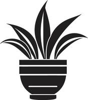 petali nel ceramica monocromatico emblema con elegante pianta pentola design biologico oasi elegante nero icona con decorativo pianta pentola vettore