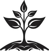 eco emblema vettore albero piantagione logo nel nero design sostenibile crescita iconico nero simbolo di pergolato impegno