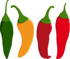jalapeno Pepe. impostato di caldo chili peperoni nel quattro colori. rosso, verde e giallo chili peperoni. vettore illustrazione