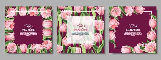 impostato di saluto carta, bandiera con rosa tulipani. primavera sfondo per internazionale donne S giorno, marzo 8. telaio con delicato primavera fiori. vettore