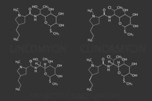 antibiotici lincosamidi molecolare scheletrico chimico formula vettore